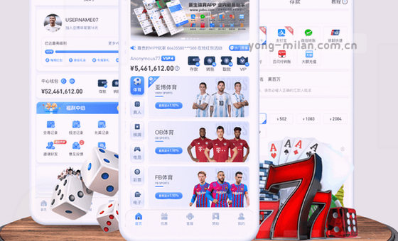 数据为核，洞察无界